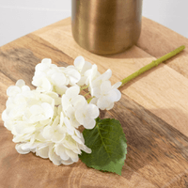 WHITE HYDRANGEA STEM