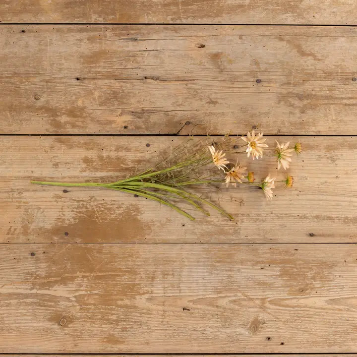 22.5" Apricot Wildflower Spray