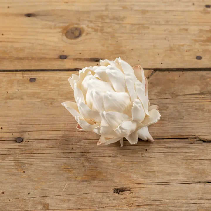 Cream artichoke head