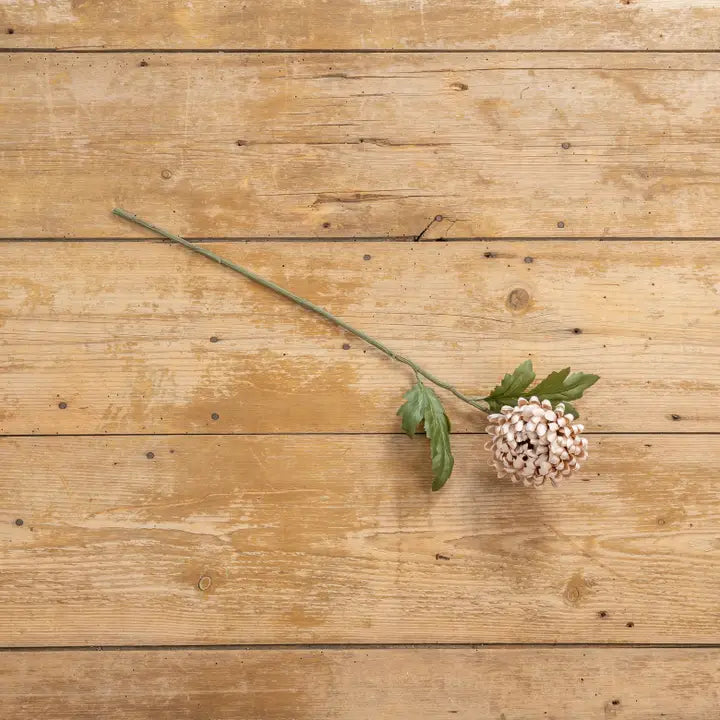 24.5" Autumn Cream Mum Spray