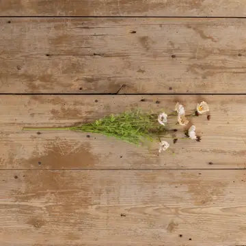 22" Beige Wildflower Spray