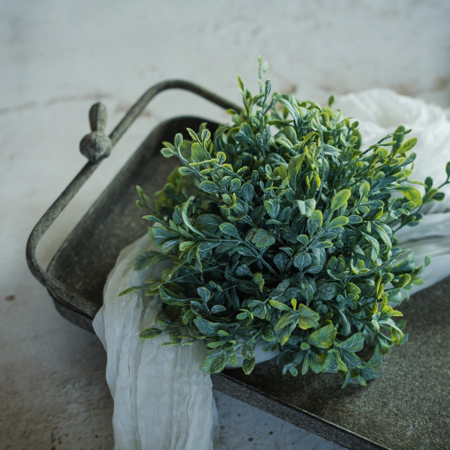7" Boxwood half ball