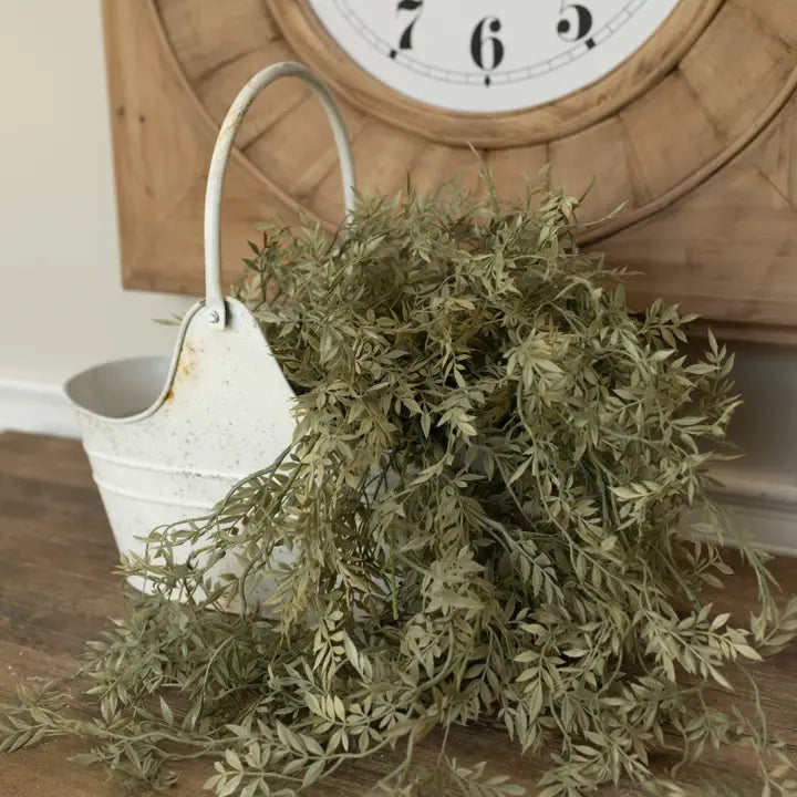 35" Ficus Hanging Bush
