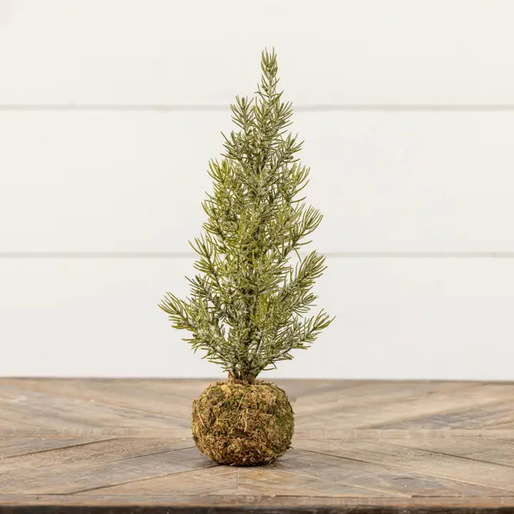9.25" pine tree w/ moss ball