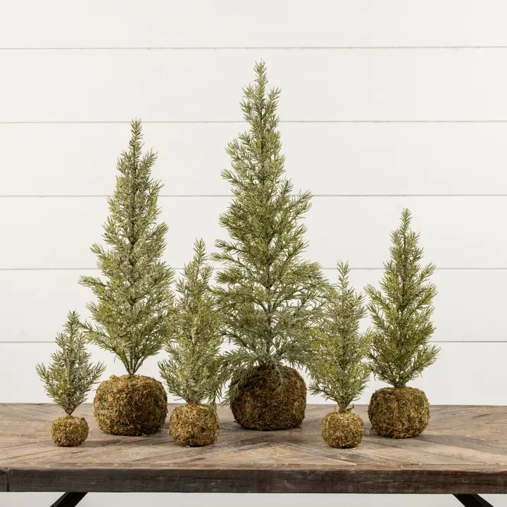 12.25" pine tree w/moss ball