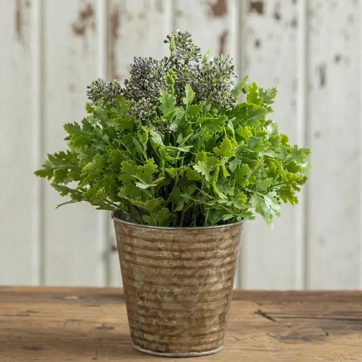 9" purple seeded plant metal pot