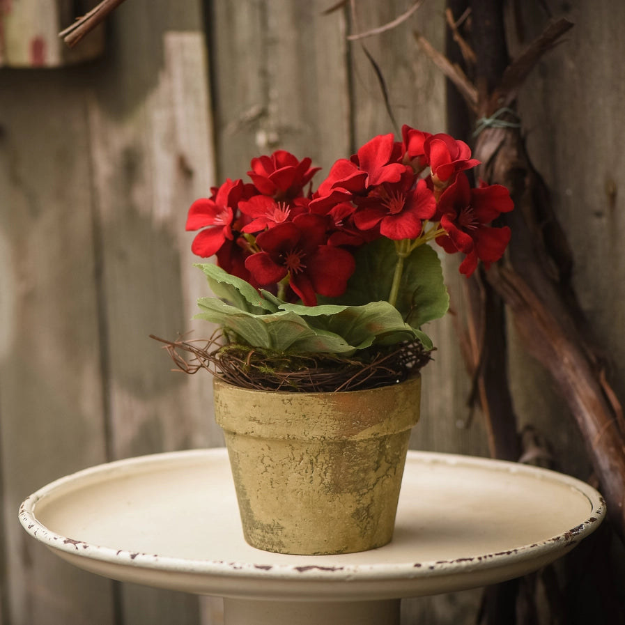 7" Red Potted Geranium