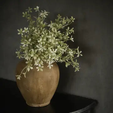 15.75 white oncidium bush