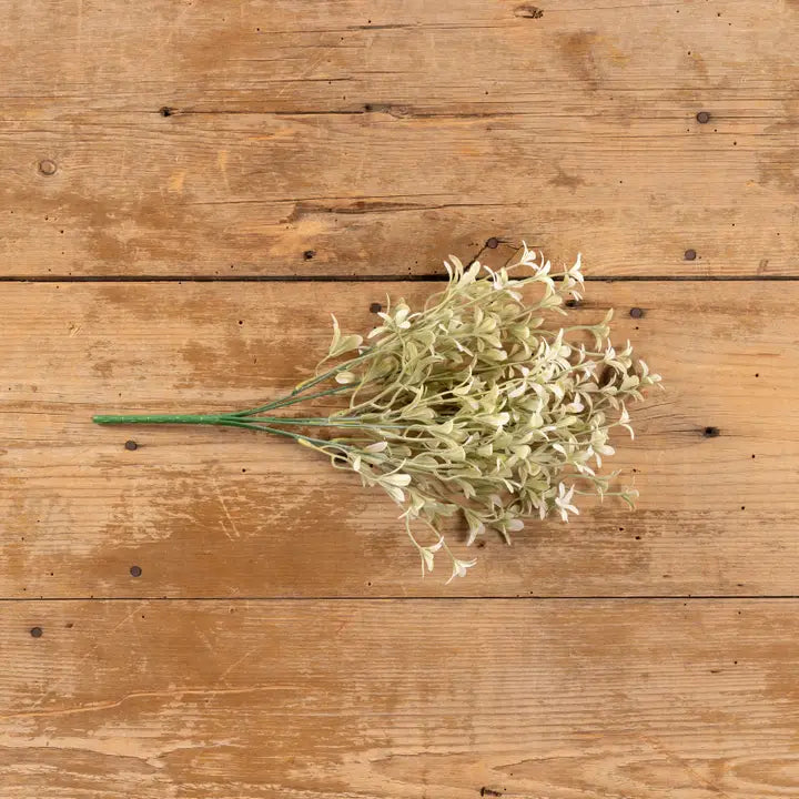 15.75 white oncidium bush