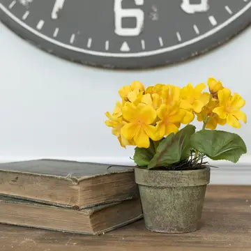 7" Yellow Potted Geranium