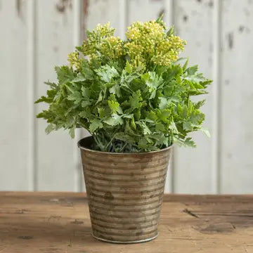 9" Yellow seeded plant in metal pot